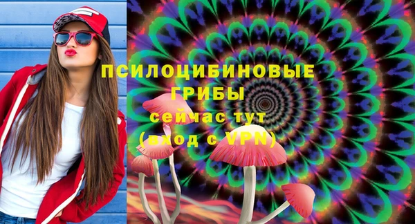 прущие крисы Алексин